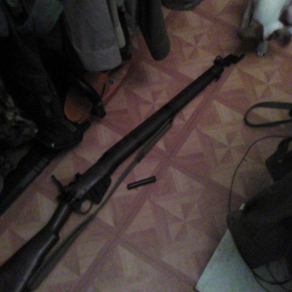 none - Picture 14 of 16